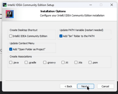 Opciones importantes a marcar en el instalador de Jetbrains IntelliJ